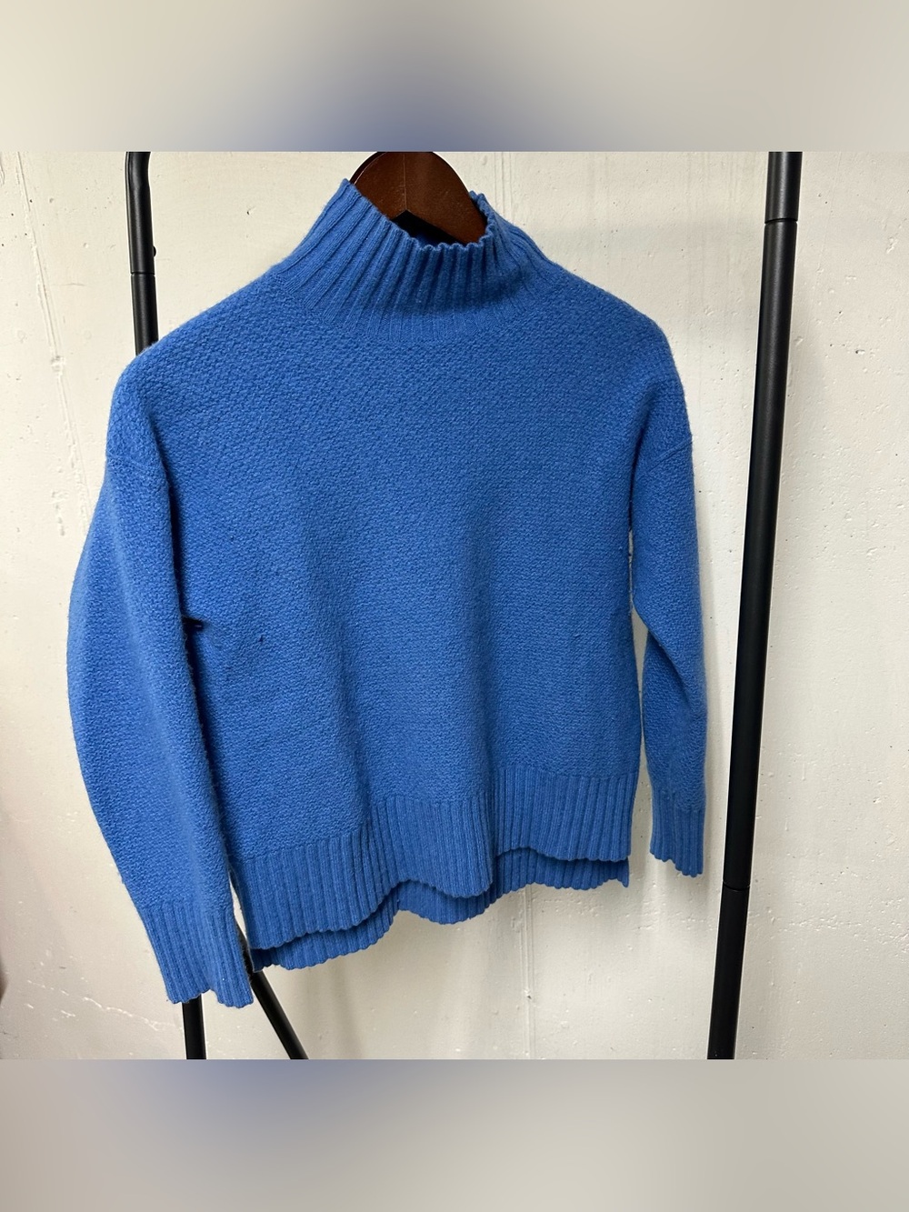 Everlane Cobalt Mock Neck Sweater